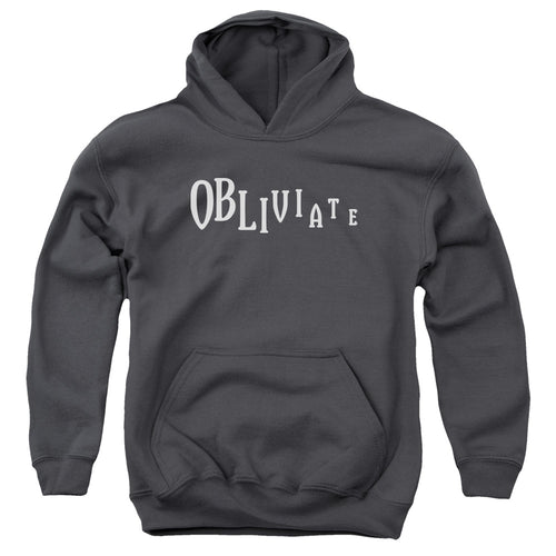 Harry Potter Obliviate Youth Hoodie