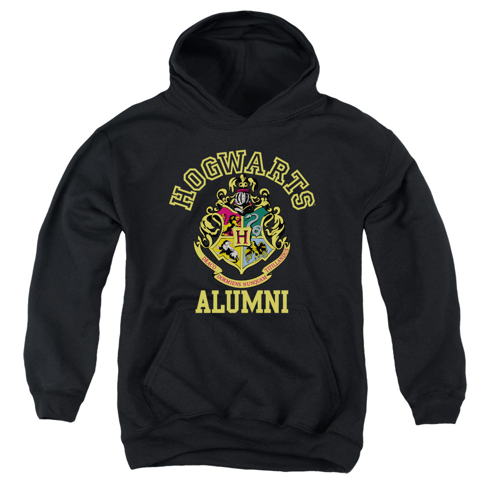 Harry Potter Hogwarts Alumni Crest Youth Hoodie
