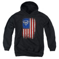 Superman Old Glory Shield Youth Hoodie