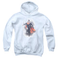 Batman v Superman A New Dawn Youth Hoodie