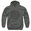 DC Comics Flash Vintage Youth Hoodie