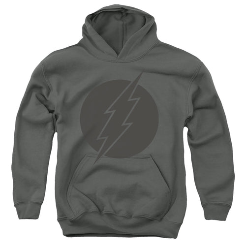 DC Comics Flash Vintage Youth Hoodie