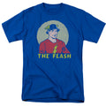 The Flash Faded Circle T-Shirt