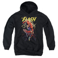 Justice League Ripping Apart Youth Hoodie