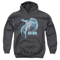 DC Comics Desaturated Batman Youth Hoodie