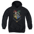 Harry Potter Hogwarts Magicial Mischief Level Up Crest Youth Hoodie