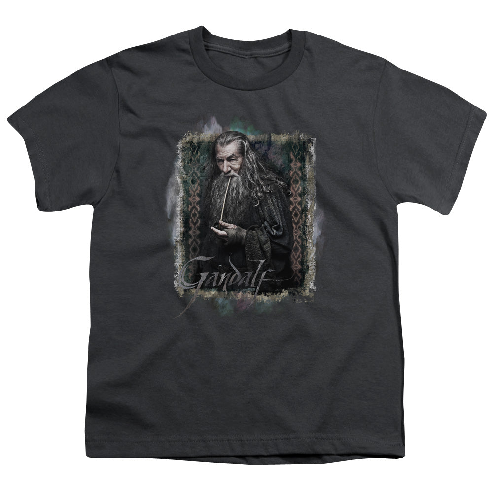 The Hobbit Gandalf Youth/Toddler T-Shirt