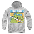 Teenage Mutant Ninja Turtles Leo Youth Hoodie