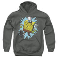 Spongebob Squarepants Letter Art Youth Hoodie