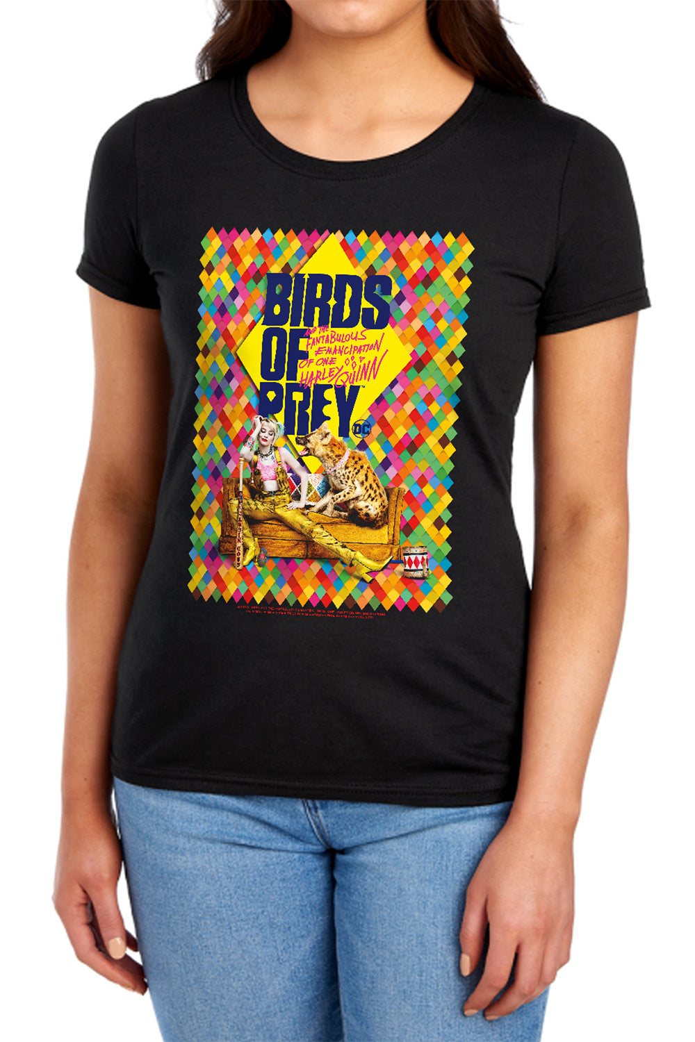 Birds of Prey Couch Womens T-Shirt