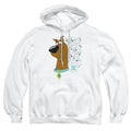 Scooby-Doo Evolution Pullover Hoodie