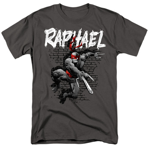 Teenage Mutant Ninja Turtles Raphael T-Shirt
