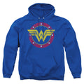 DC Comics Wonder Woman Circle Logo Pullover Hoodie