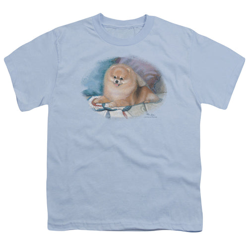 Wild Wings Pomeranian Portrait Youth/Toddler T-Shirt