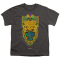 Fantastic Beasts Brazil Ministry Flag Youth/Toddler T-Shirt