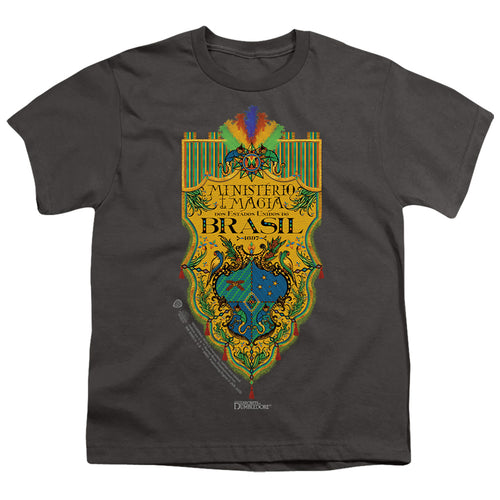 Fantastic Beasts Brazil Ministry Flag Youth/Toddler T-Shirt