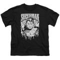 Superman Super Metal Youth/Toddler T-Shirt