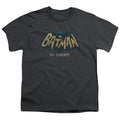 Batman In Color Youth/Toddler T-Shirt