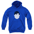Superman Supes Head Youth Hoodie