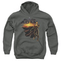 Black Adam Black Adam Logo With Character Youth Hoodie