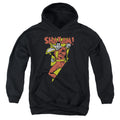 DC Comics In Bolt Youth Hoodie
