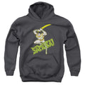DC Comics Samurai Youth Hoodie