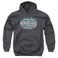 Batman Dark Knight Steel Shield Youth Hoodie