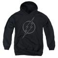 DC Comics Flash Line Logo 2 Youth Hoodie