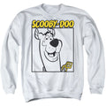 Scooby-Doo Square Crewneck Sweatshirt