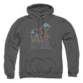 Superman Colored Lines Pullover Hoodie