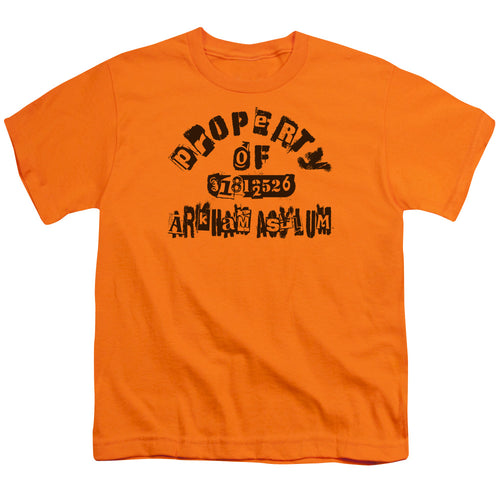 Batman Property Of Arkham Youth/Toddler T-Shirt