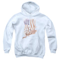 Superman Super American Youth Hoodie
