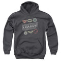 Justice League Symbols Youth Hoodie