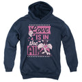 Looney Tunes Valentine'S Day Tweety Sylvester Love In The Air Youth Hoodie