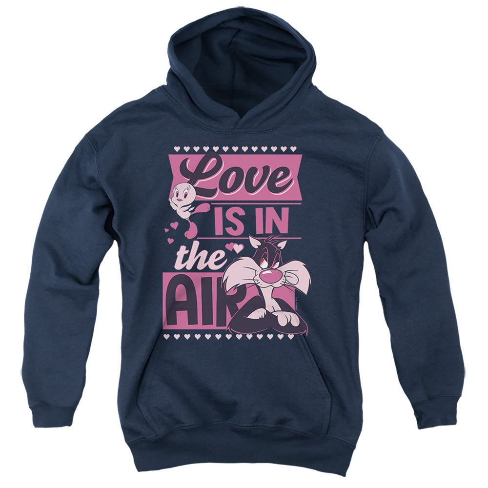 Looney Tunes Valentine'S Day Tweety Sylvester Love In The Air Youth Hoodie