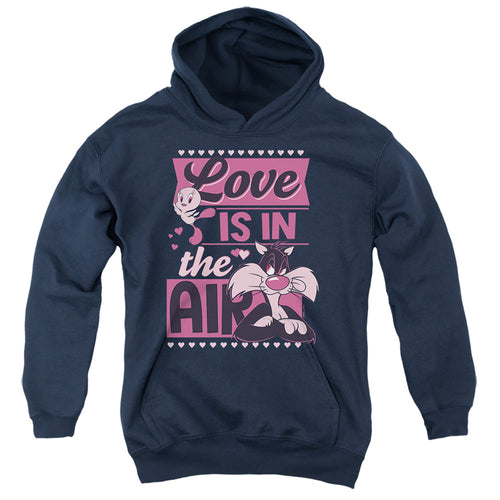 Looney Tunes Valentine'S Day Tweety Sylvester Love In The Air Youth Hoodie