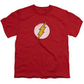 The Flash Rough Flash Logo Youth/Toddler T-Shirt