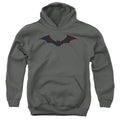The Batman Tri-color Bat Silhouette Youth Hoodie