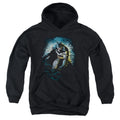 Batman Bat Cave Youth Hoodie