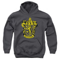 Harry Potter Gryffindor Crest Youth Hoodie