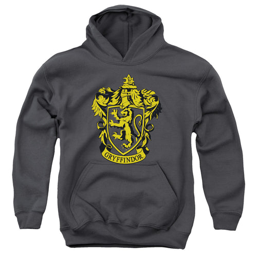 Harry Potter Gryffindor Crest Youth Hoodie