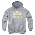 DC Comics Fly By Youth Hoodie