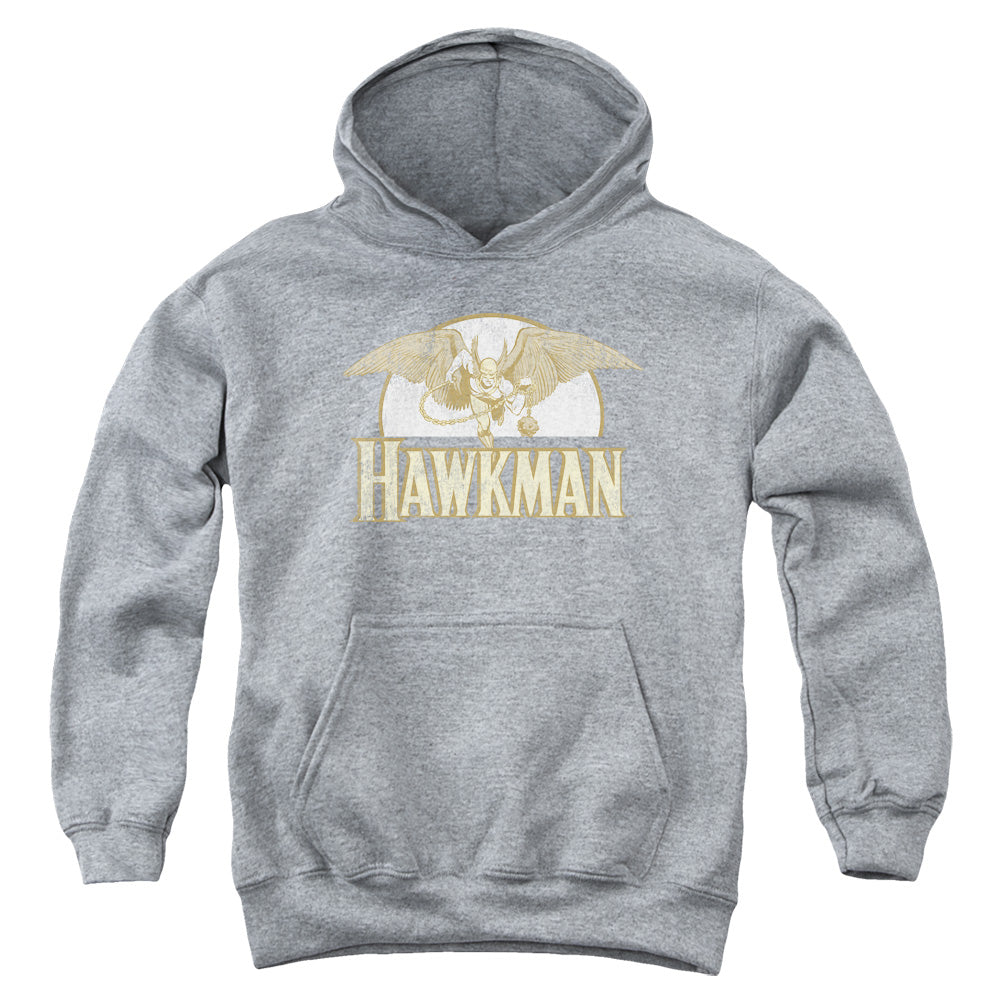 DC Comics Fly By Youth Hoodie