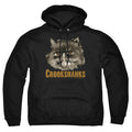 Harry Potter Crookshanks Pullover Hoodie