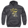 Batman Bat Signal Youth Hoodie