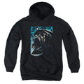 Batman Knight Falls In Gotham Youth Hoodie