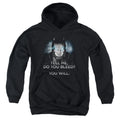 Batman v Superman Do You Bleed Youth Hoodie
