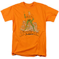 Aquaman Aquaman Distressed T-Shirt