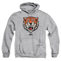 Shazam! Tawky Tawny Pullover Hoodie