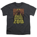 Superman Zod Poster Youth/Toddler T-Shirt